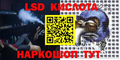 ПСИЛОЦИБИНОВЫЕ ГРИБЫ Кандалакша