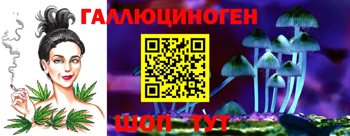 Псилоцибиновые грибы Psilocybe  где можно купить наркотик  Вход с VPN  Буйнакск  Псилоцибиновые грибы прущие грибы 