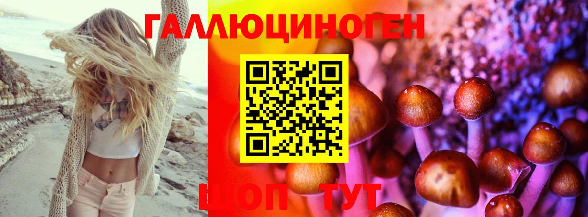Псилоцибиновые грибы Cubensis Буйнакск